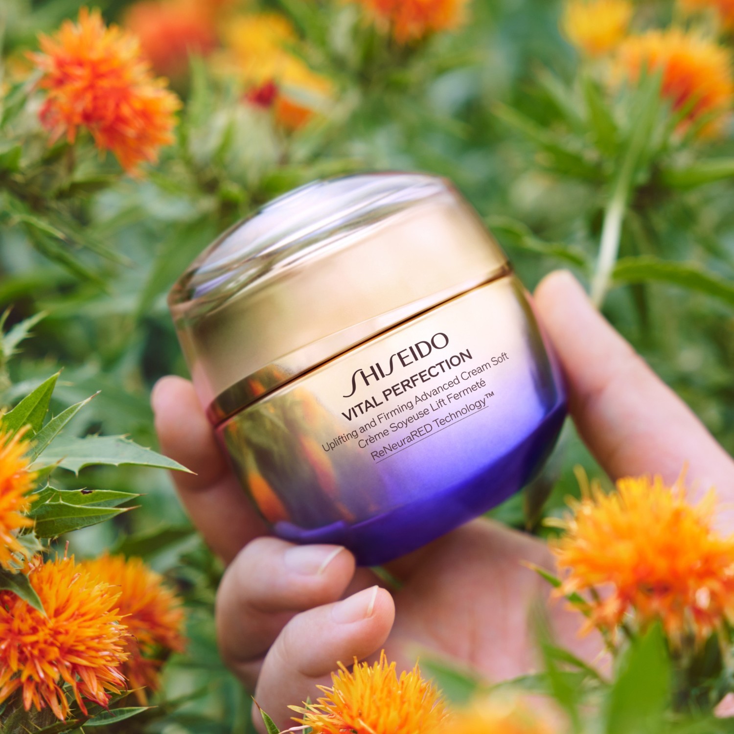 Shiseido Anti-Aging Pflege Vital Perfection Straffende und Festigende Advanced Creme Soft - 50 ml
