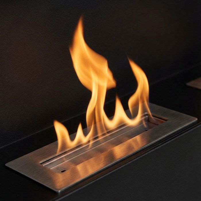 Frankystar Flavia — Chimenea mural de bioetanol, 100×46×16 cm, negra, 2 quemadores, capacidad de 3 L, 3000 W