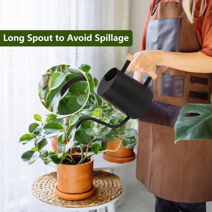 Regador decorativo para plantas de interior, em aço inoxidável, com bico longo, preto.