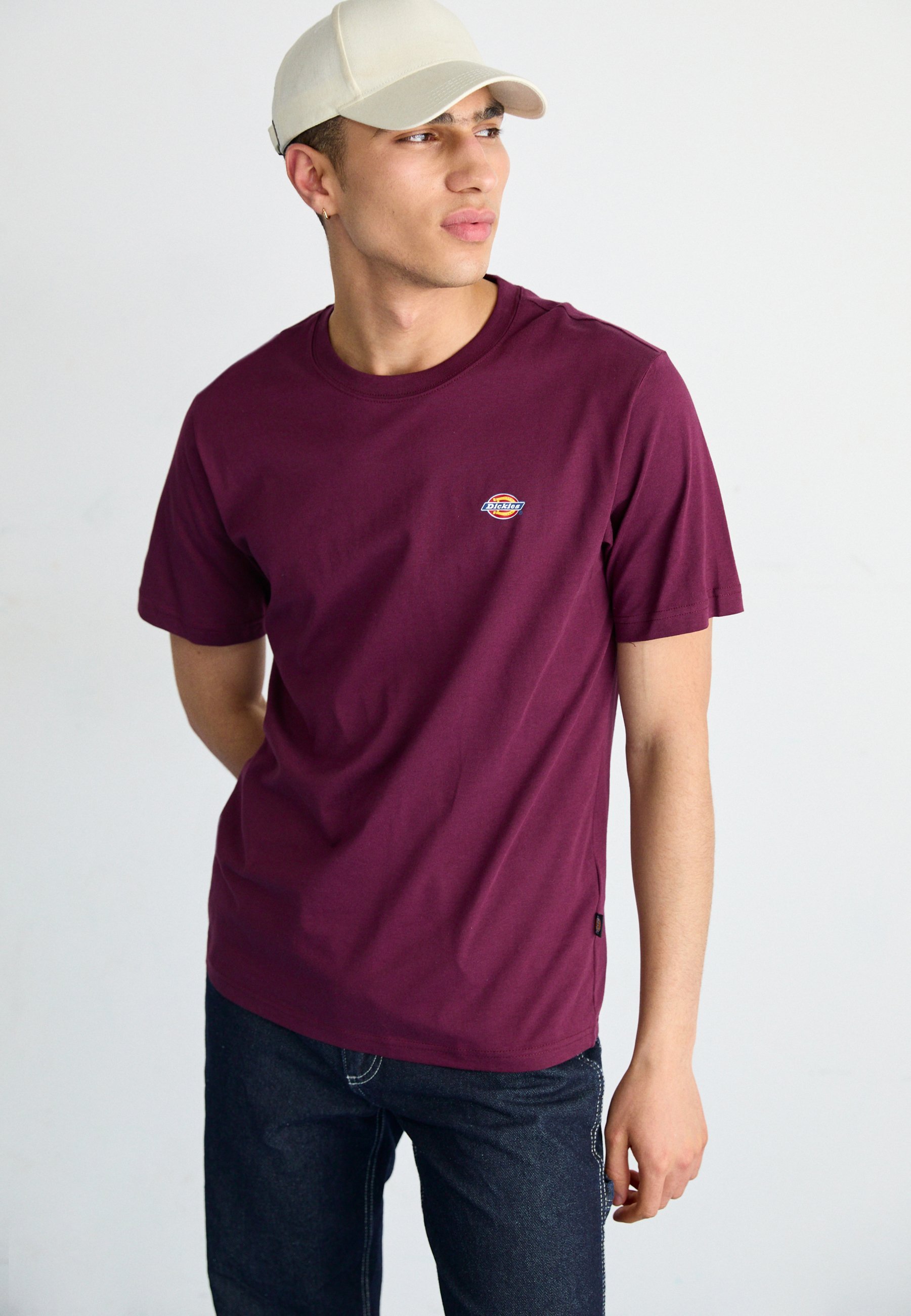 Základní trička Dickies