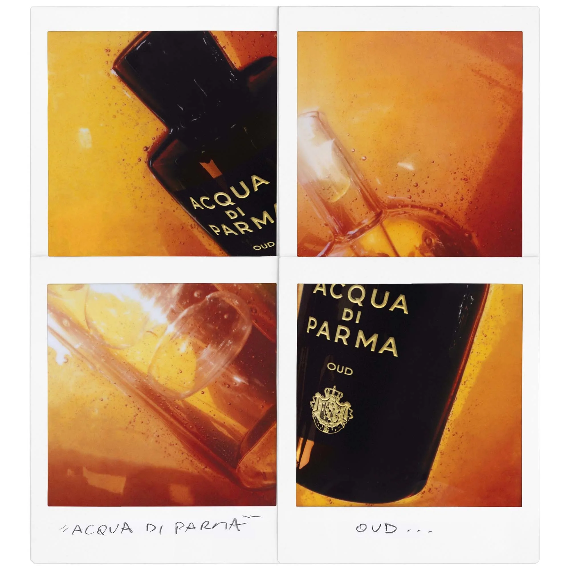 Signatures of the Sun Oud - Eau de Parfum Unisex, Eau de Parfum