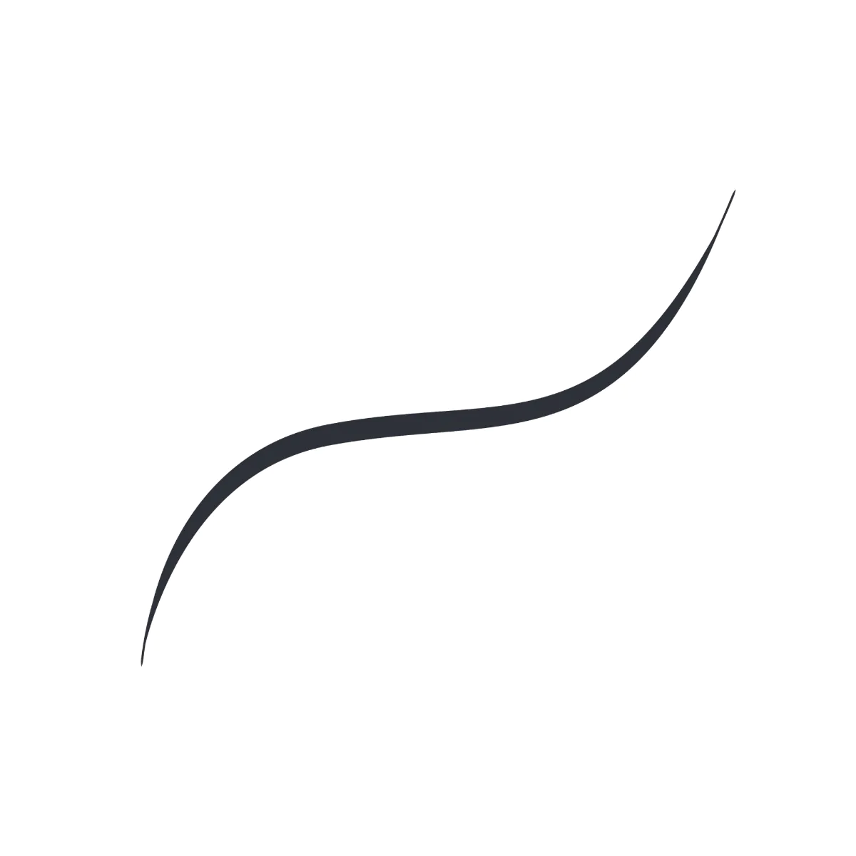 L’Oréal Paris Infaillible Micro Fine Eyeliner 01 Obsidian Black