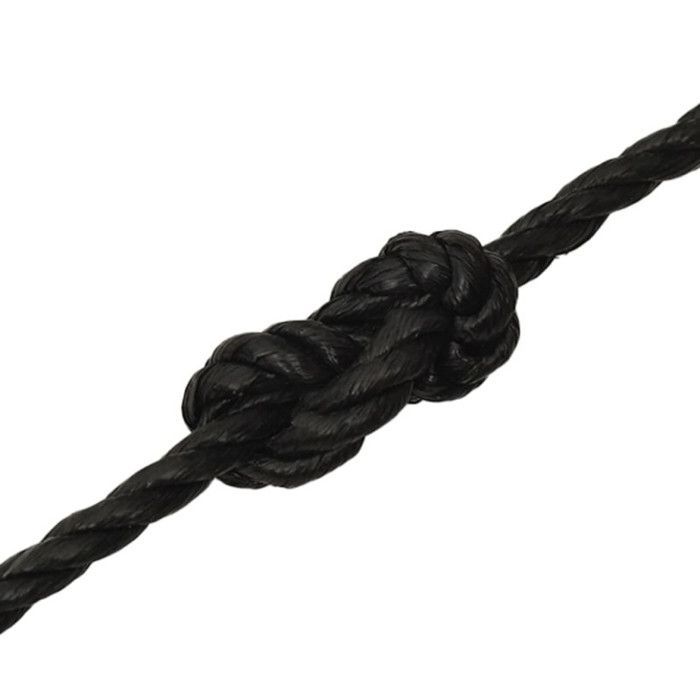 153012 VidaXL Cuerda de trabajo negra 10 mm 50 m Polipropileno