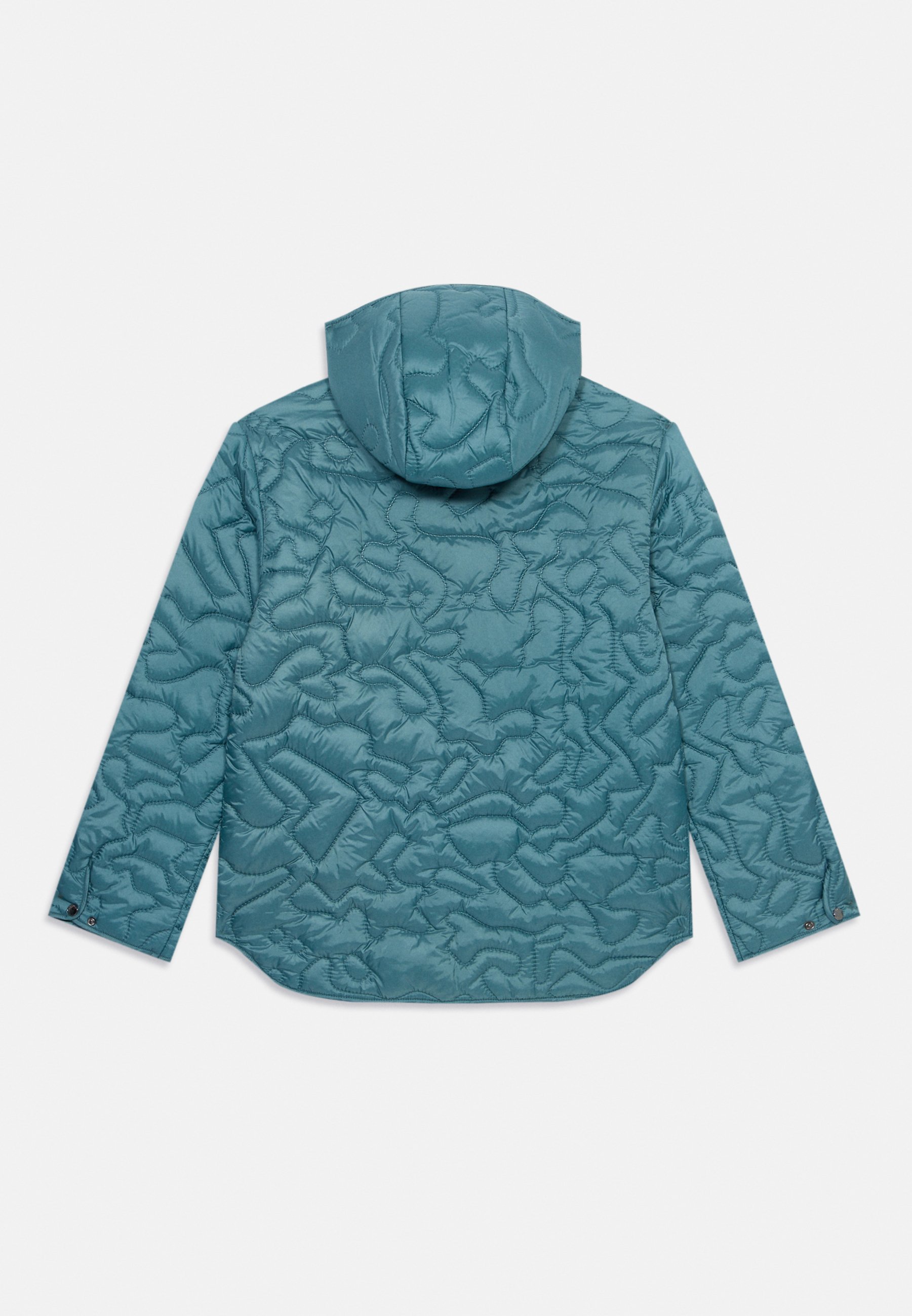 Emporio Armani BLOUSONJACKET UNISEX - Winterjas - zilvergrijs