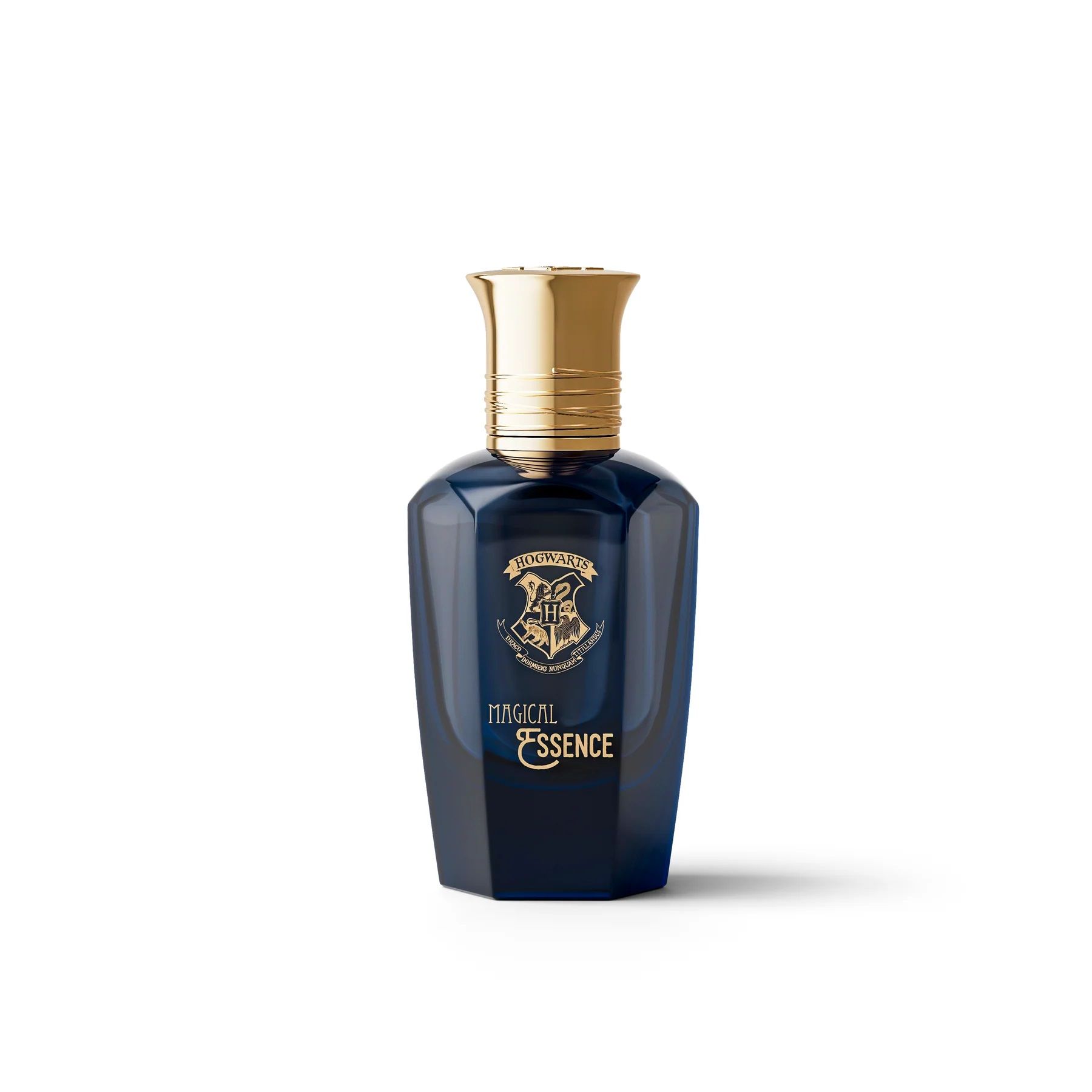 Parfumska voda Magical Essence Man Wisdom Moški parfumi