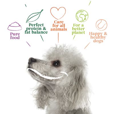 Croquettes pour chiens Yarrah Organic Vega aux canneberges biologiques