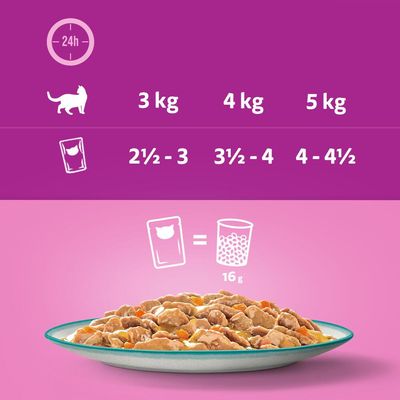 Whiskas 1+ Smakelijke Mix Vis van de Dag in Jus