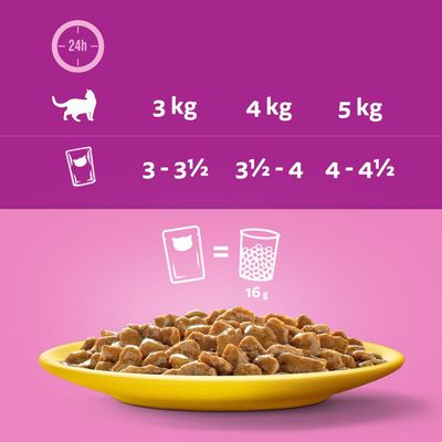 Whiskas 7+ Senior Zakjes in Jus