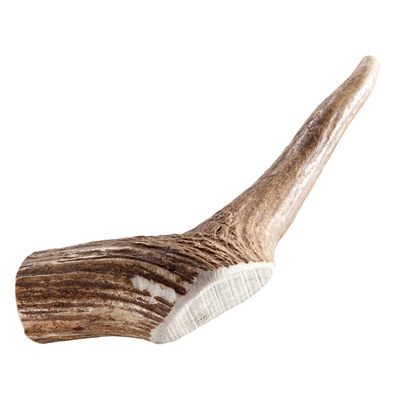 Chewies Κόκκινο Ελάφι Κέρατο Σκύλου για Μασάζ