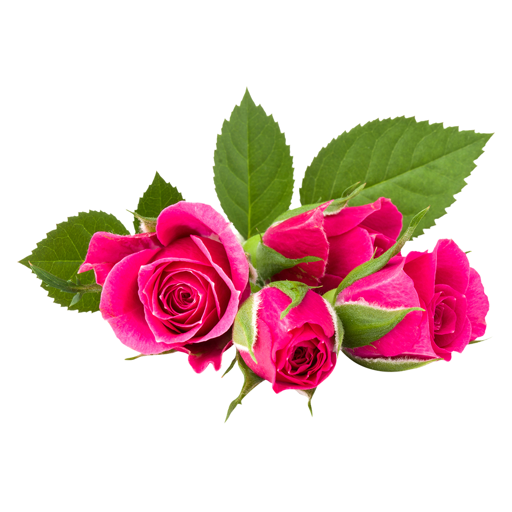 MBeauty Rose -kasvitieteellinen naamio