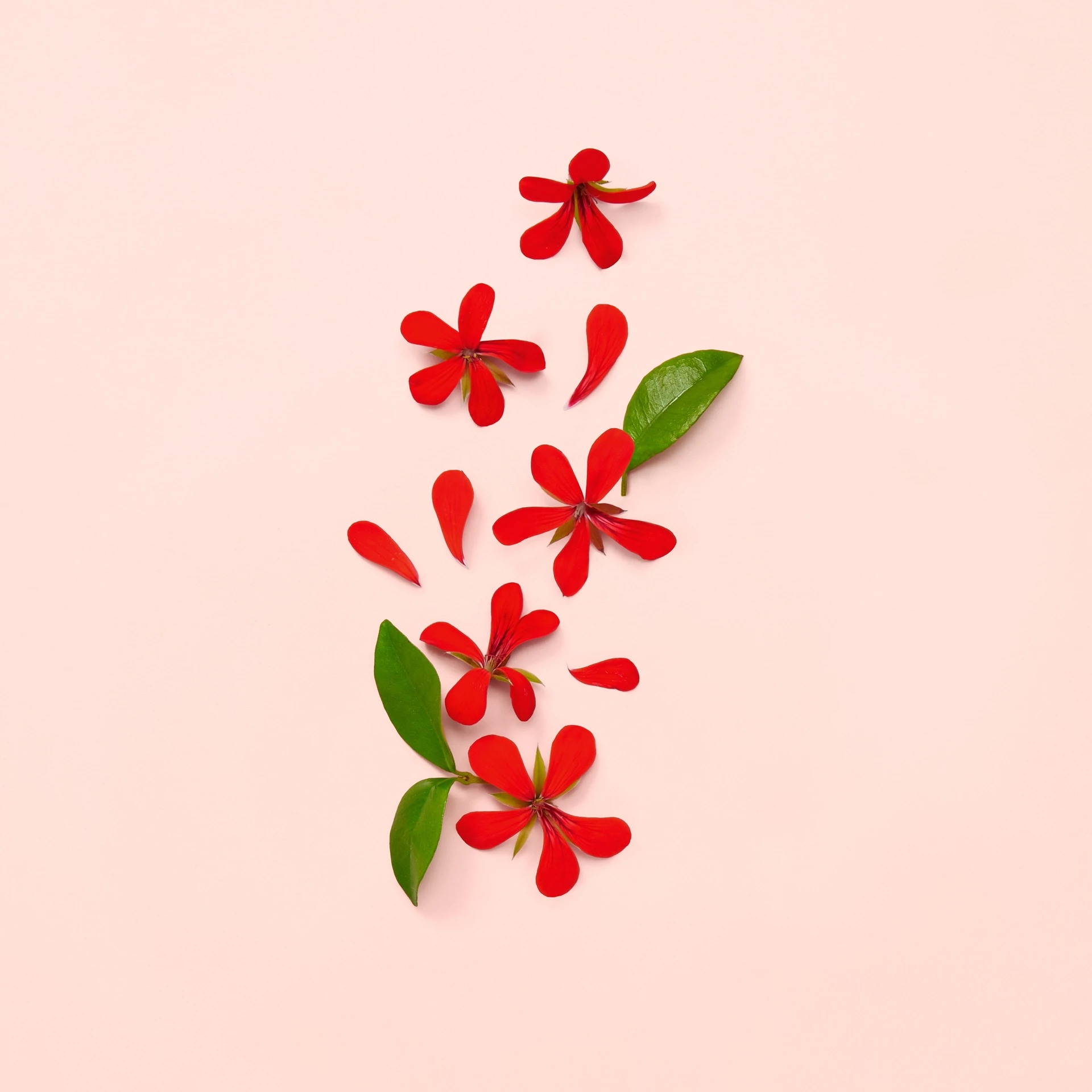 Gucci Bloom EdP 30 ml - Gucci