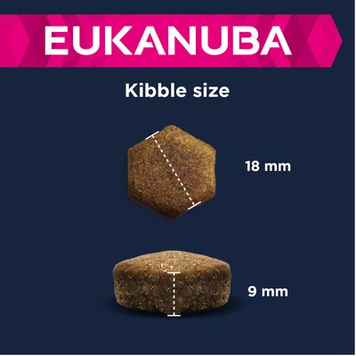 Eukanuba Großrassen-Erwachsene - Lamm & Reis