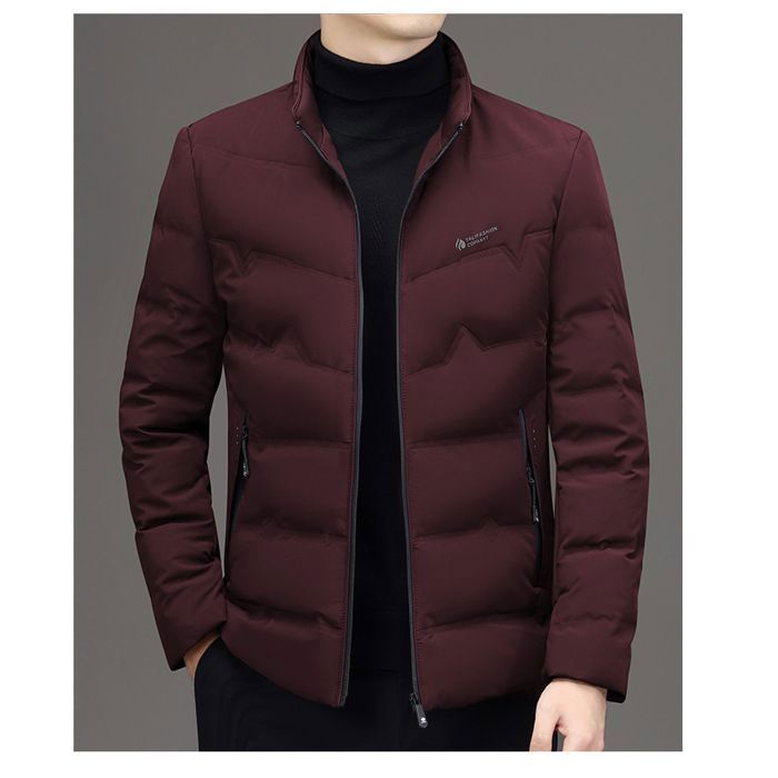 Giacca imbottita da uomo casual, elegante, con collo alto, tinta unita - Borgogna
