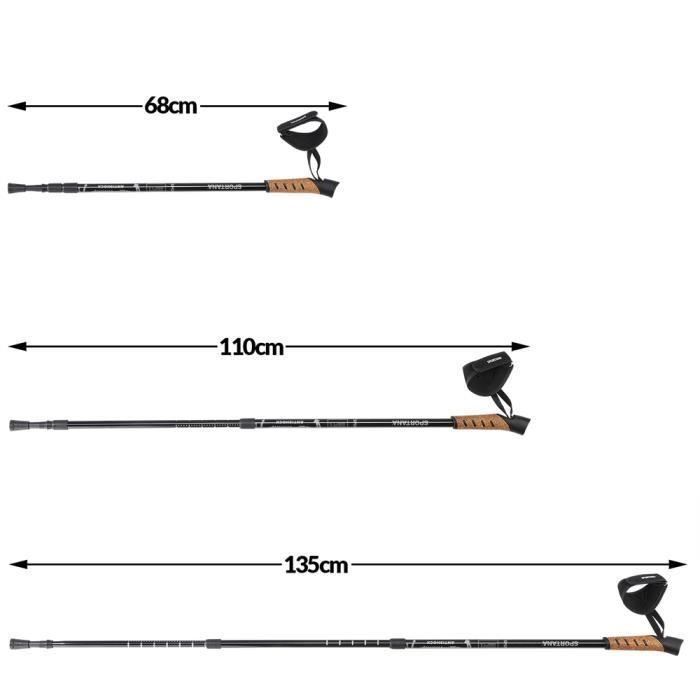 Teleskopierbare Nordic-Walking-Stöcke aus Aluminium mit Handschlaufen – Wandern – Grau