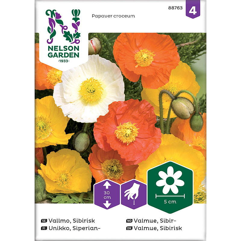 Nelson garden frø valmue sibirsk, blandede farger