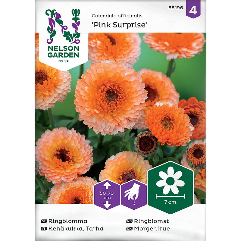Nelson Garden Marigold Pink Surprise -siemenet