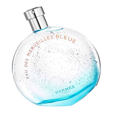 Hermès Hermès Eau des Merveilles Bleue EDT 100 ml 100 ml