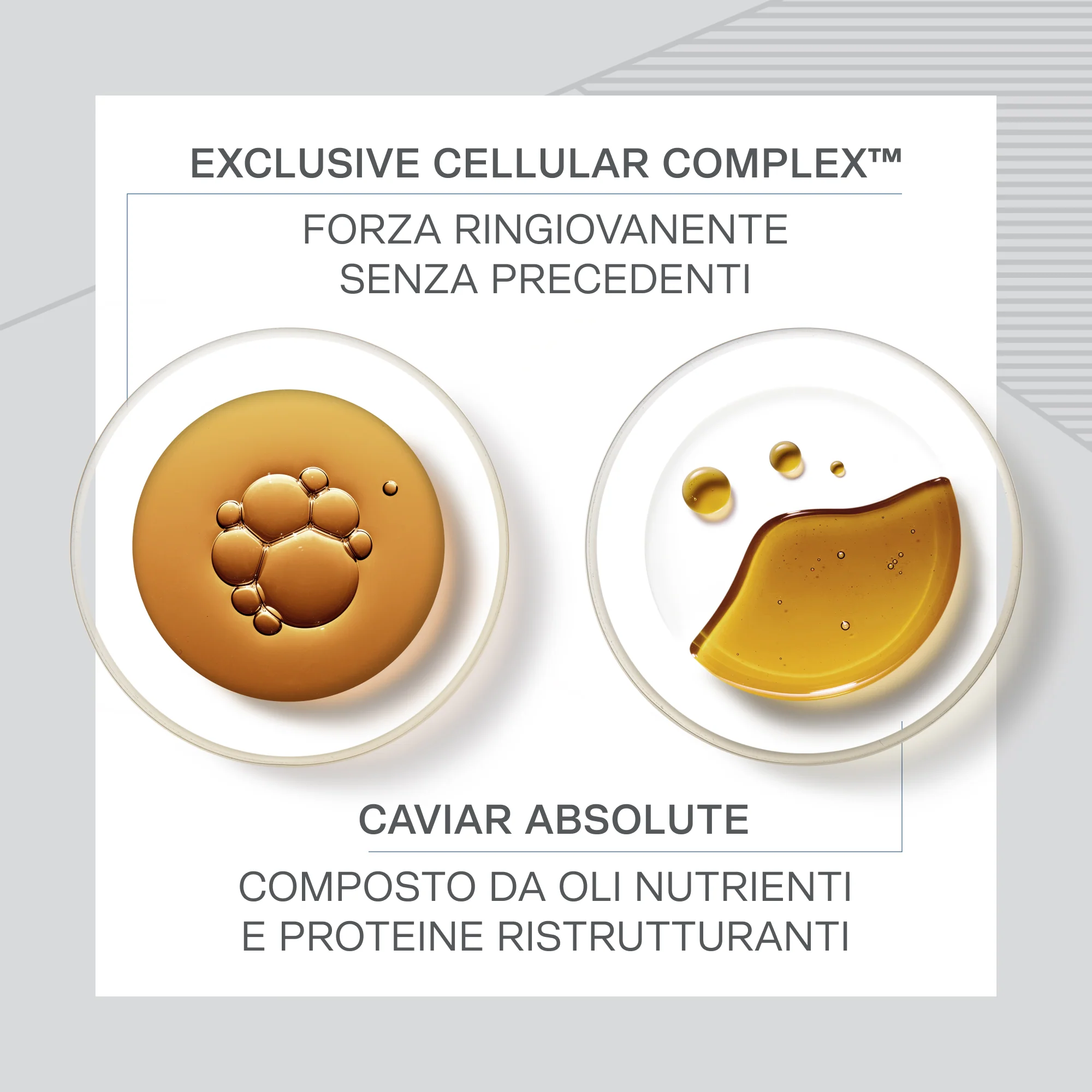 Skin Caviar Absolute Filler Crema Viso - Filler lifting
