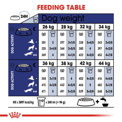 Royal Canin Maxi Adulto 5+