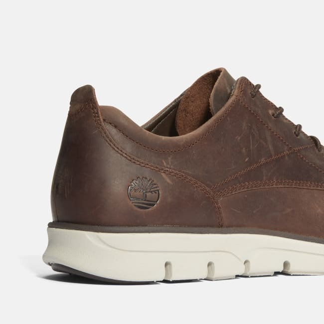 Scarpa Oxford in Pelle Bradstreet da Uomo in                marrone