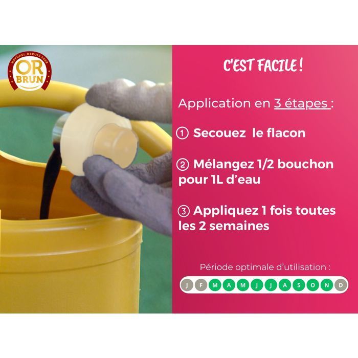 OR BRUN Orchid Fertilizer - 250ml - Improves & promotes growth - Made in France OBRECLORCH250