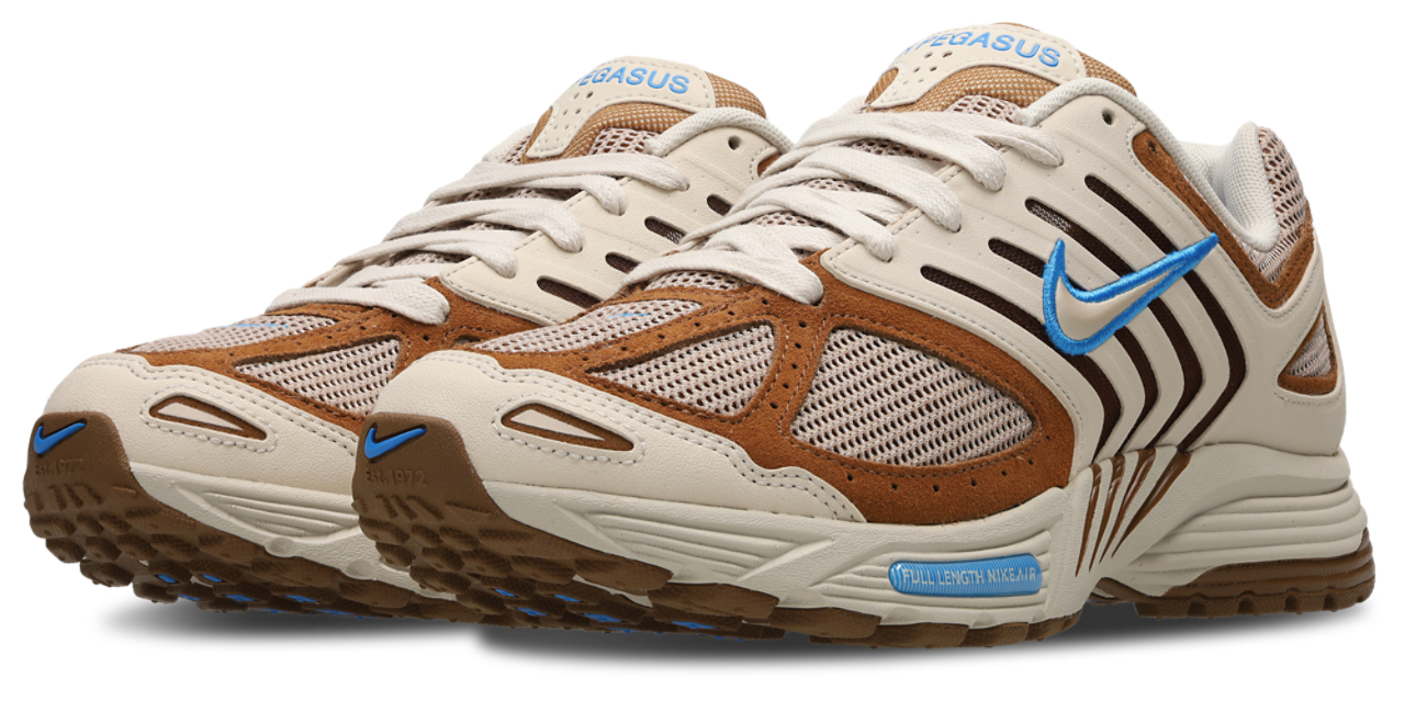 Nike Pegasus 2005