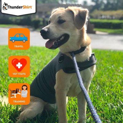 ThunderShirt Koiran Ahdistusliivi - Harmaa