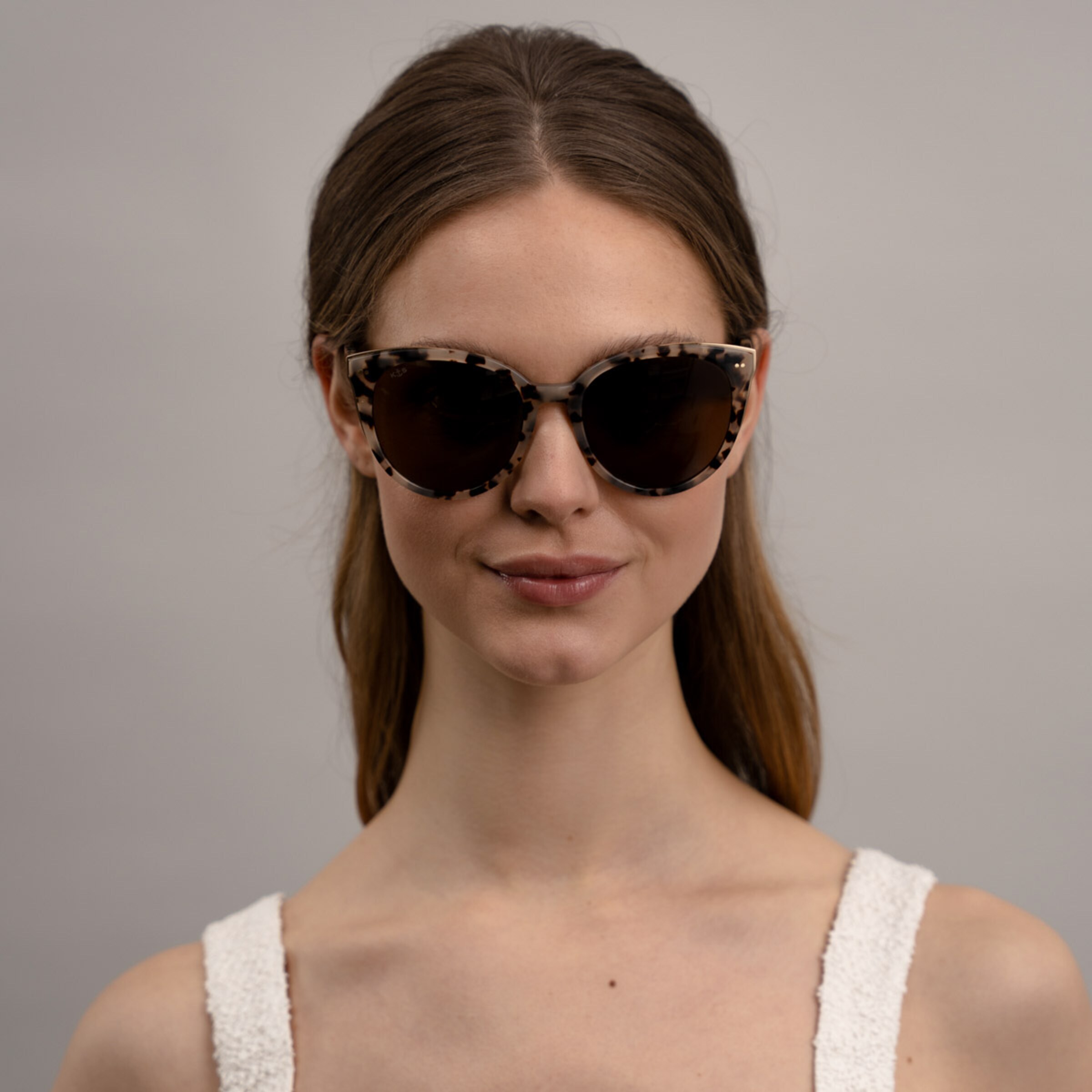 Tortue des sables de Manhattan brune