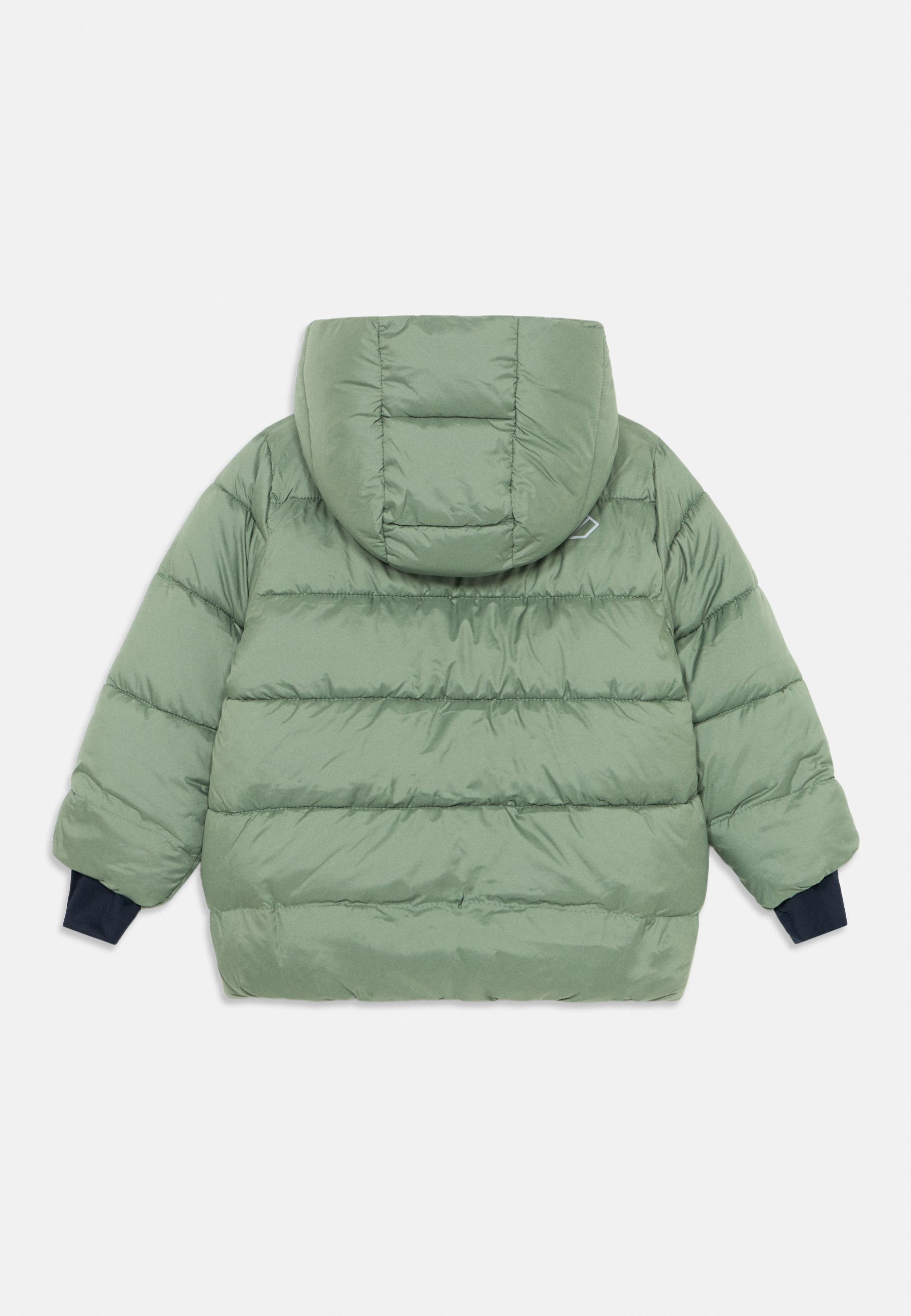 Didriksons ROXEN KIDS JACKET UNISEX - Giacca da snowboard - muschio chiaro