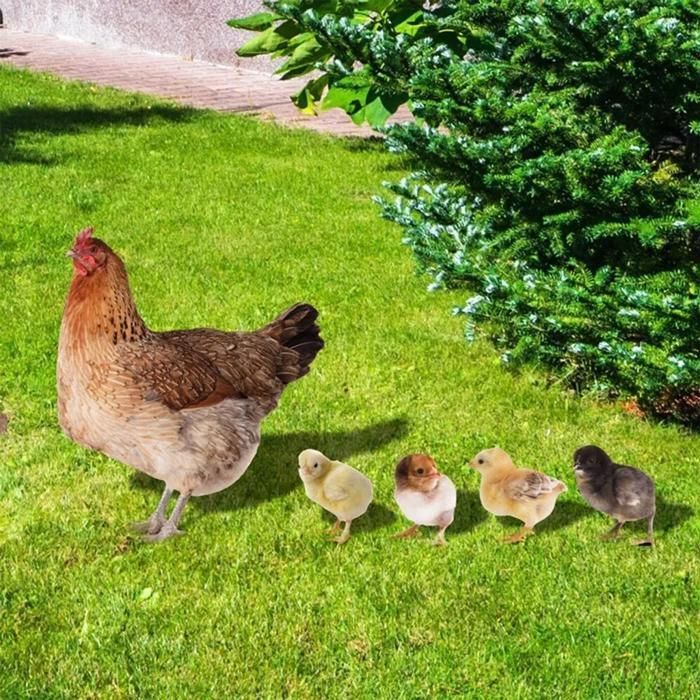 5pièces décoration jardin poulet,figurines drôles ornement animal extérieur YYV