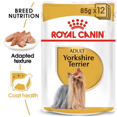 Royal Canin Yorkshire Terrier felnőtt táp