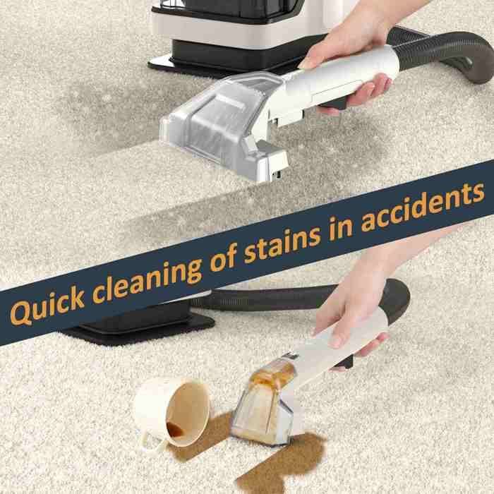 Nettoyeur Extracteur pour Canapé et Tapis - Puissance 11Kpa - Double Réservoir - Élimine Taches et Odeurs d'Animaux