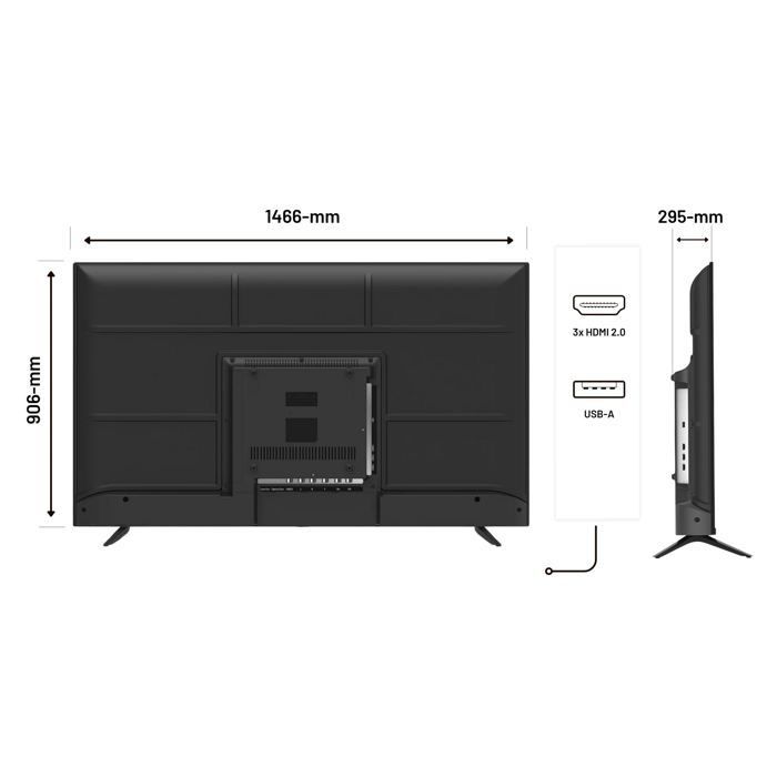 Ecran PC Grand Format - JAPANNEXT - 65