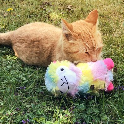 Jucărie pentru pisici Aumüller Angie Alpaca