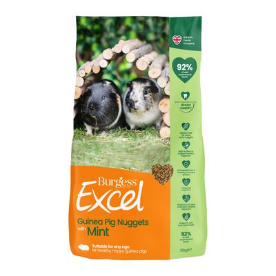 Bocconcini Burgess Excel per porcellini d'India adulti con menta