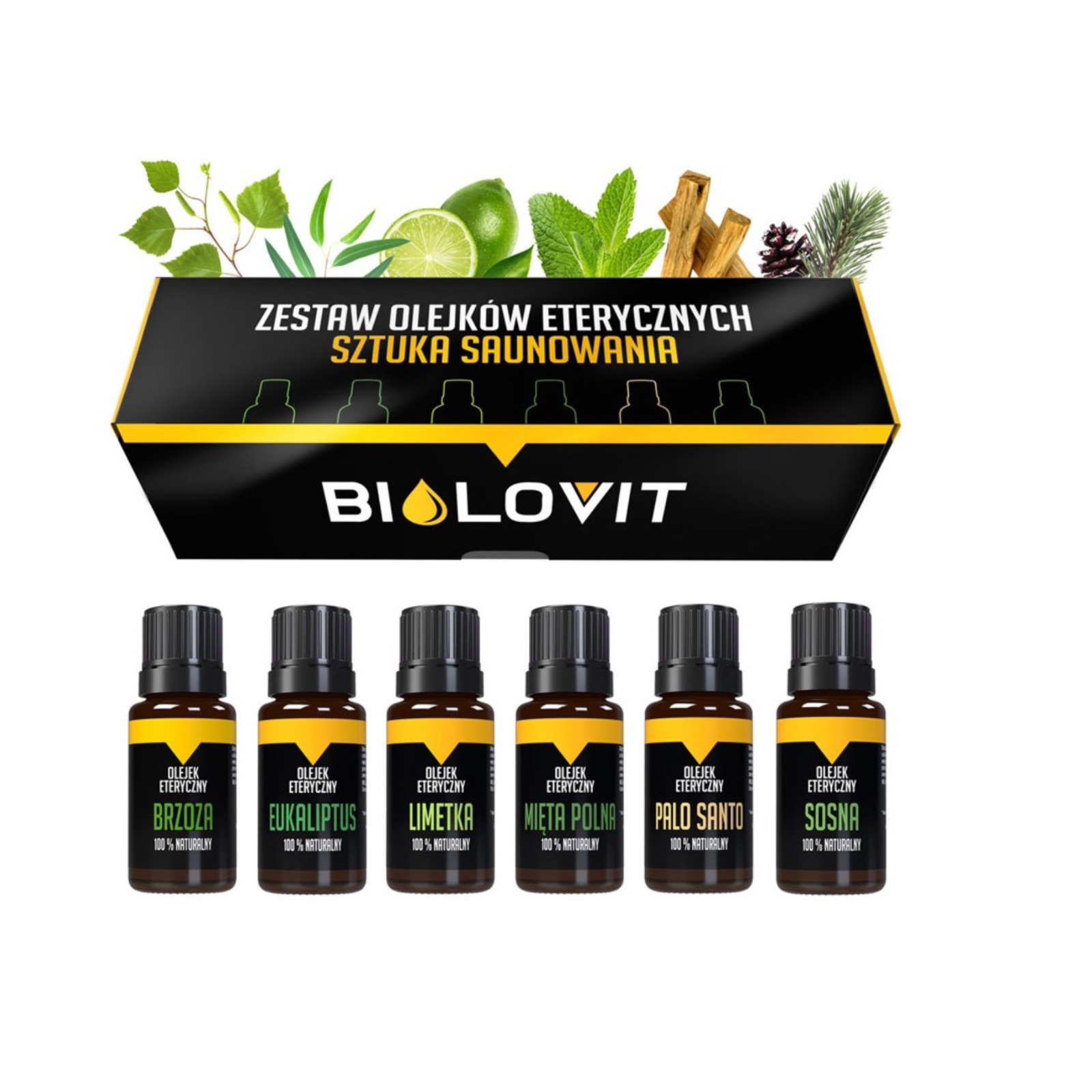 Bilovit The Art of Sauna