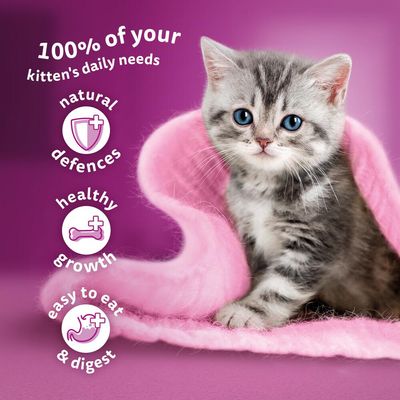 Whiskas Kitten Pouches in Jelly