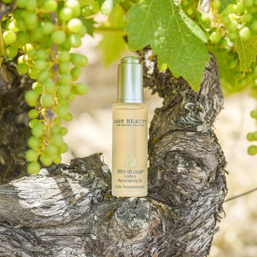 Pleťový olej Juice Beauty Stem Cellular Vinifera Replenishing - 30 ml