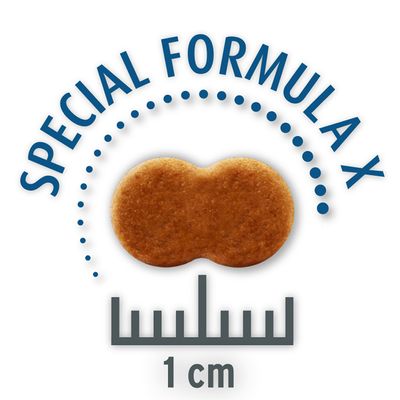 Concetto per pacchetti di economia domestica