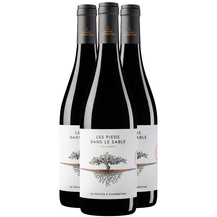 Domaine de la Pointe Landes Les Pieds dans le Sable 2024 - Red Wine from the Southwest (3x75cl)