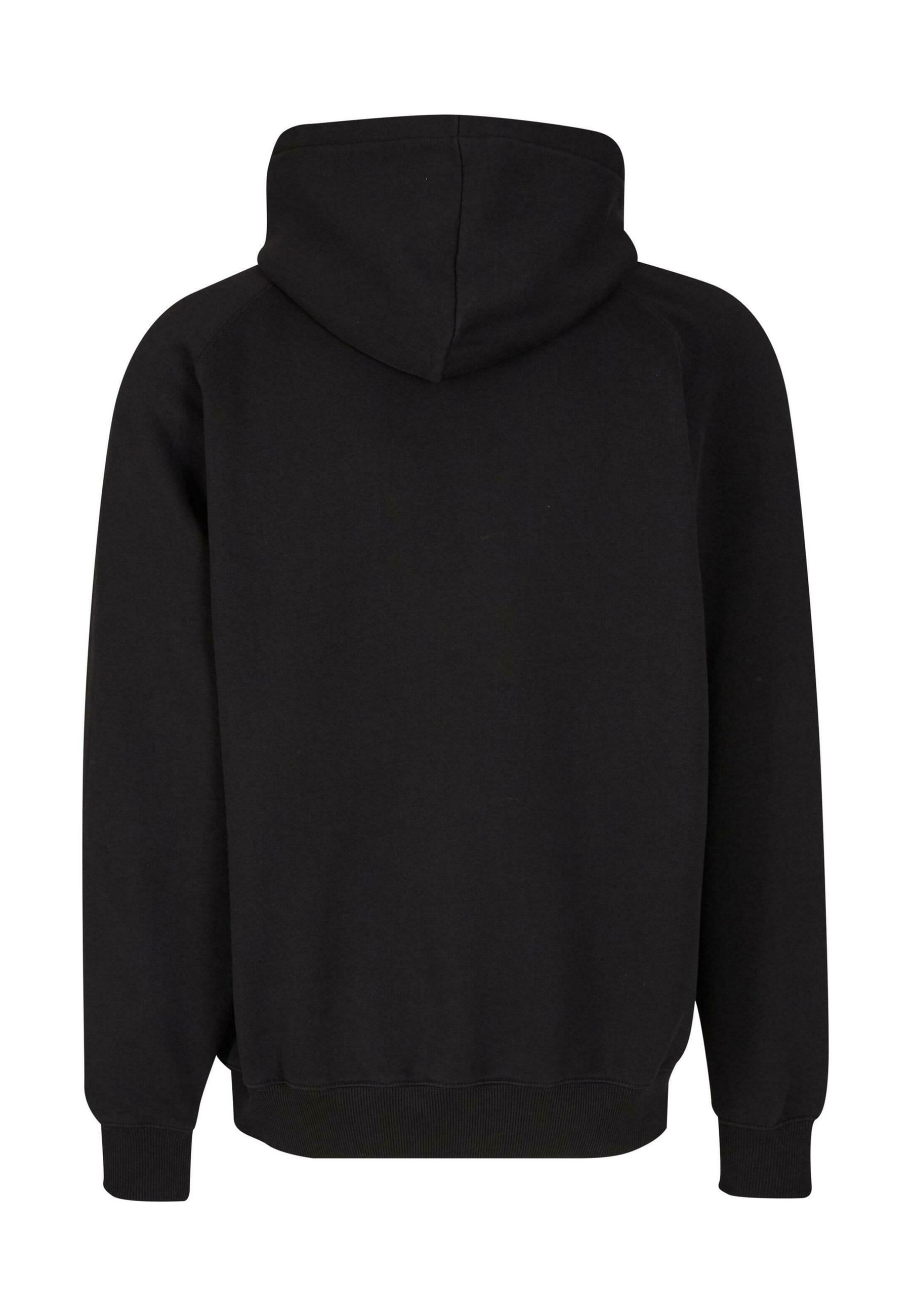Sweat-shirts à capuche Pegador