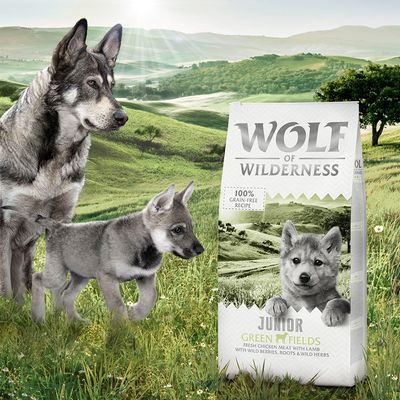 Wolf of Wilderness Junior 'Green Fields' - Lam