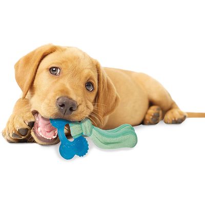 Nylabone Puppy Chill & Chew Toy