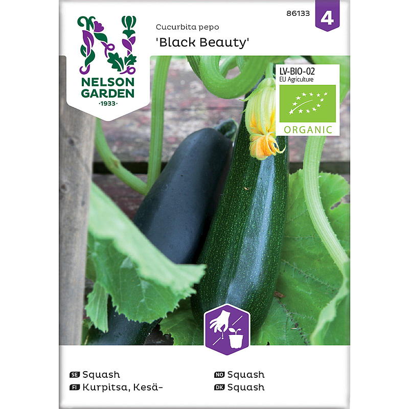 Nelson Garden Seeds Squash Black Beauty, ekologisk