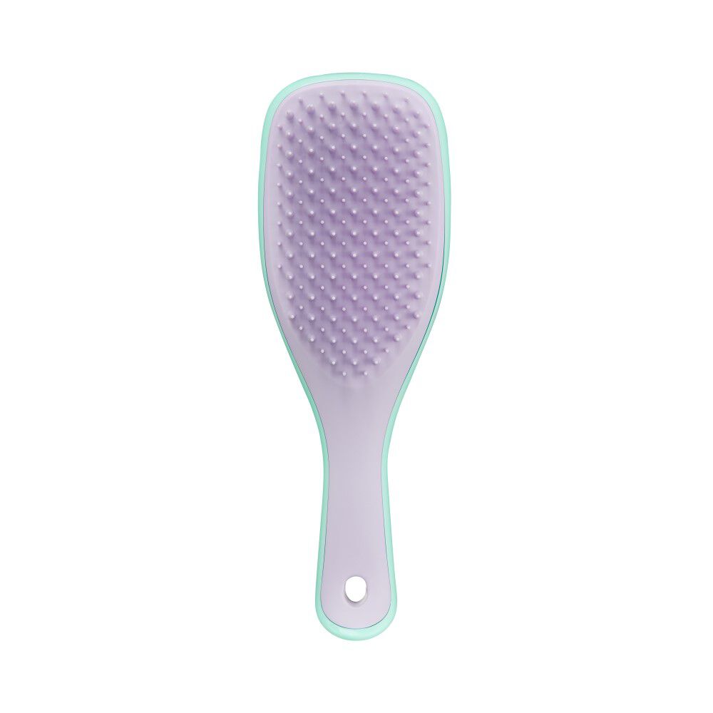 Tangle Teezer Ultimate Detangler Mini