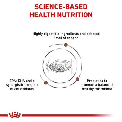 Royal Canin Veterinary Dog - Hepatic