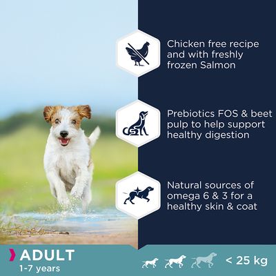 Eukanuba Grain-Free Small & Medium Breed Adult with Salmon