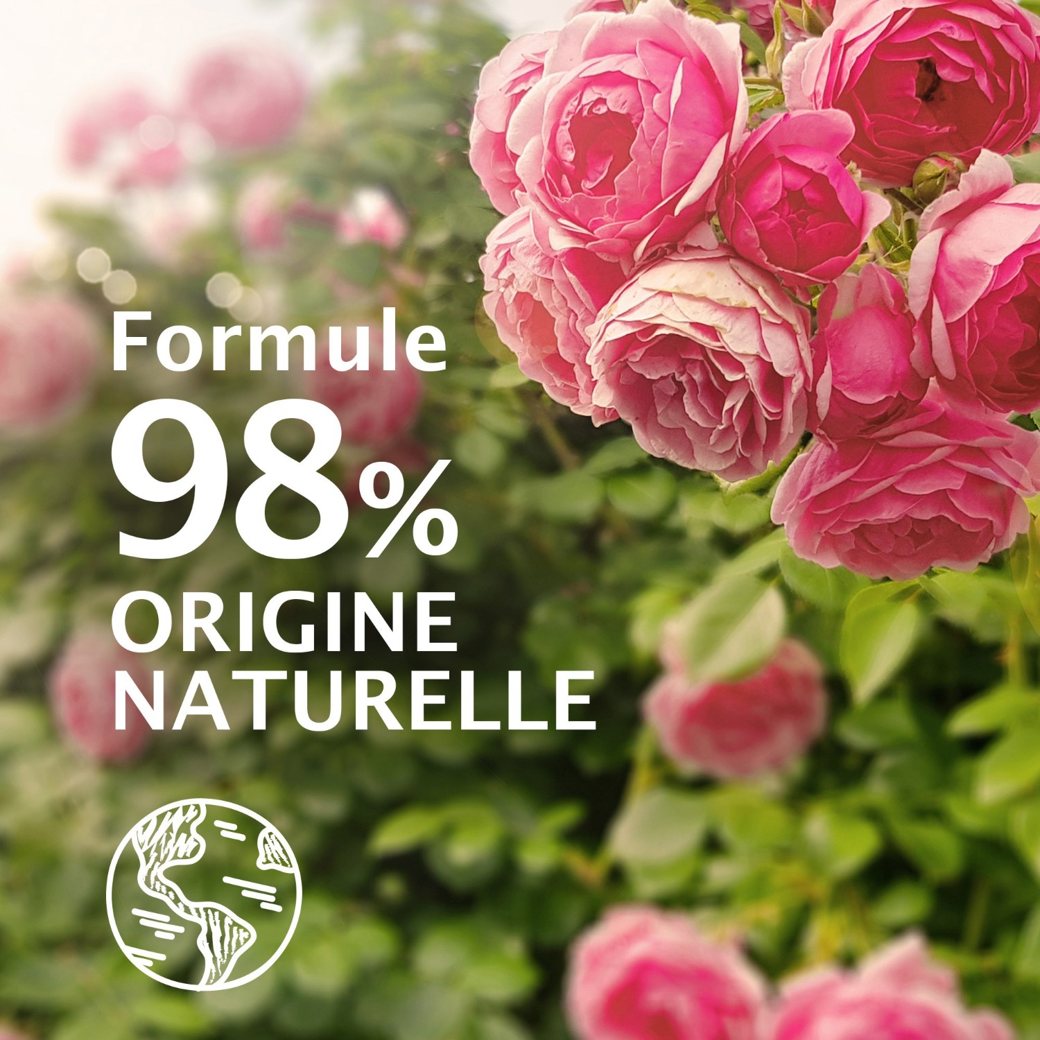 Le Petit Marseillais Gel Douche Bio Hydratant[[,]] au pH neutre[[,]]Rose Sauvage[[,]]