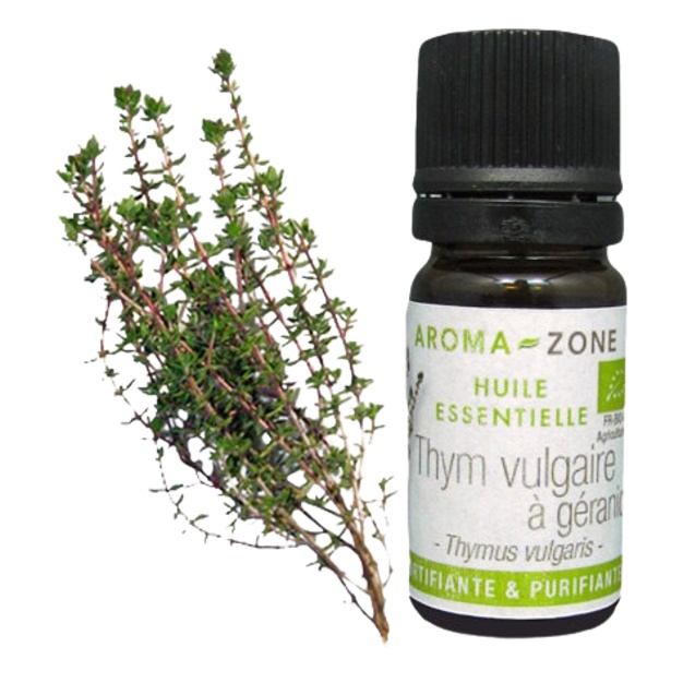 Timo biologico con olio essenziale di geraniolo proveniente dalla Provenza