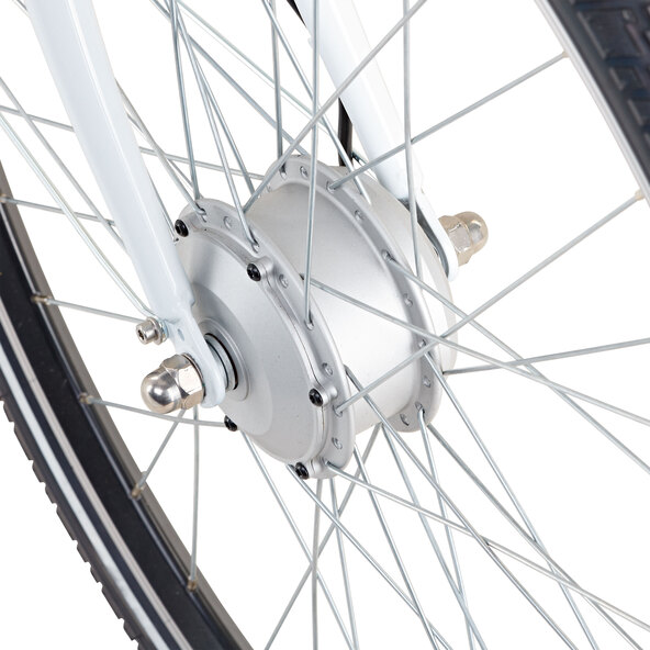 City E-Bike Geniesser 21 ESC 30, 28